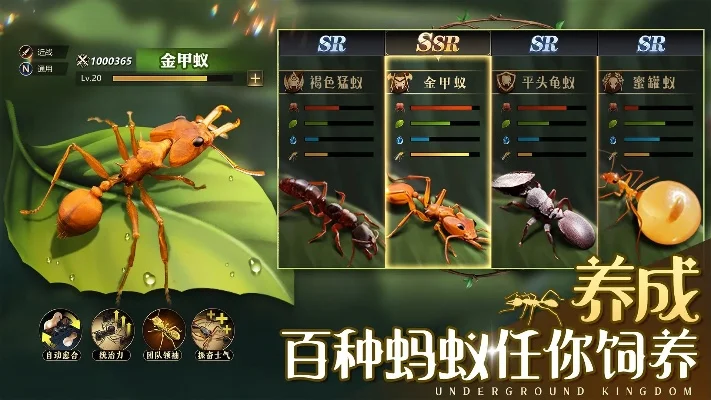 新手必看！游戏基础策略与蚁群培养指南