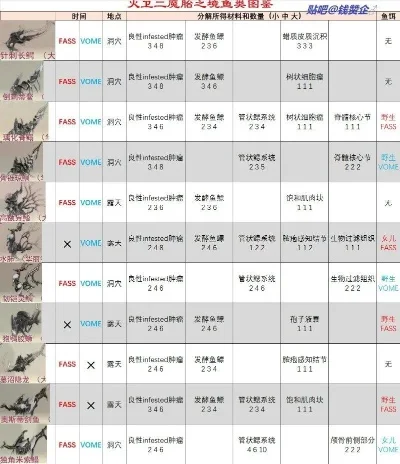 星际战甲技能移植全攻略：安装、献祭、解锁与配置技巧