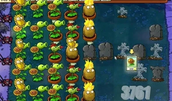 植物大战僵尸第4关攻略：通关技巧与植物布局