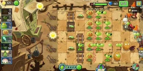 植物大战僵尸2排面战攻略：高效玩法与策略详解