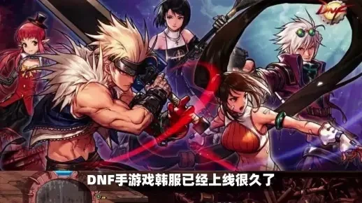 dnf手游翻译最新版-DNF手游翻译革新全球体验