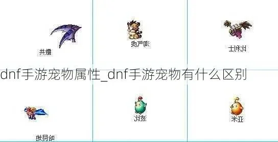 手游dnf宠物排行榜-DNF宠物实力排行